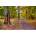 Park Ąžuolynas